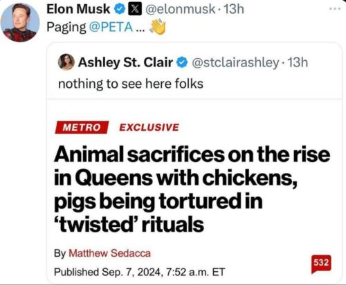 photo_2024-09-10_12-23-53