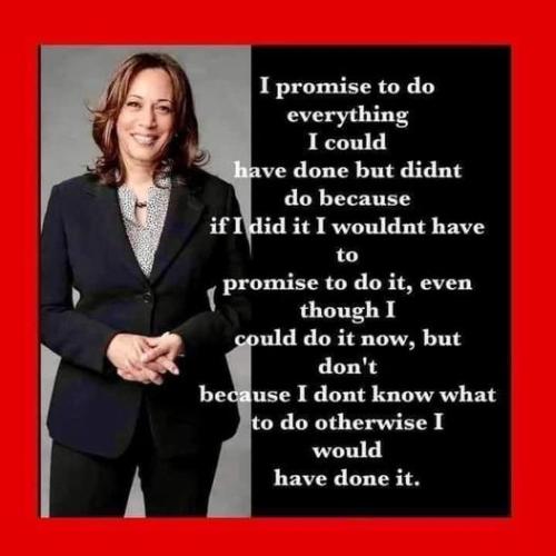 i would have done it