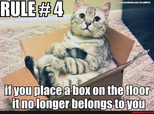 9e36a7a1bafebb2ba1f5ddd9da305fec27488ac7163654c936783807631e6b75_1