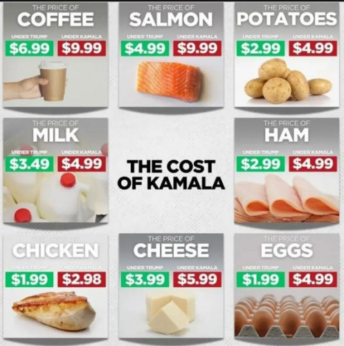 image_2024-09-25_061649507