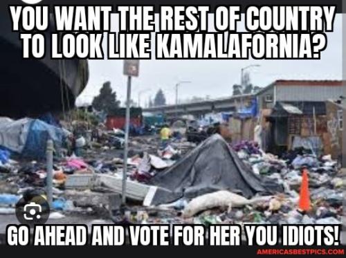 940163af94fc9d5b6335c84a13cacaddd11a6c9adb455065b08671828ac4546d_1