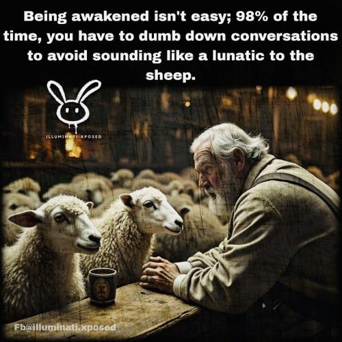 image_C83E4D2E-C837-4A9E-95B5-263252677CCD