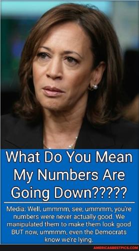 b9868afa9d0c185c5af43aa122b45d1ce2fea2f1a2351b75c67bf3f459b119a2_1