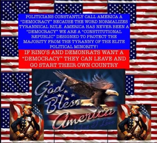 xephula_c943aacf1c298387fa6bbfb34127a422