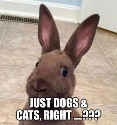 FB_IMG_1726323277201