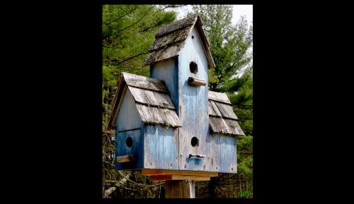 BIRD HOUSE 3299