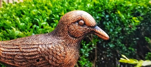 IMG_20240821_160318534