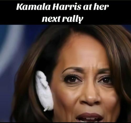 Screenshot_20240909-205453_Wimkin Free Speech Social Media