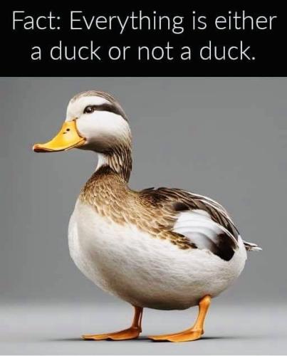 image_A15508B4-17A2-4E77-81CC-1EC867980898