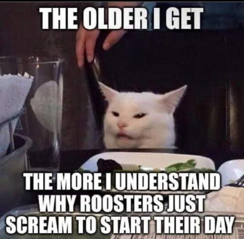 IMG_20240903_154055_649