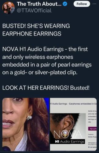 Earrings