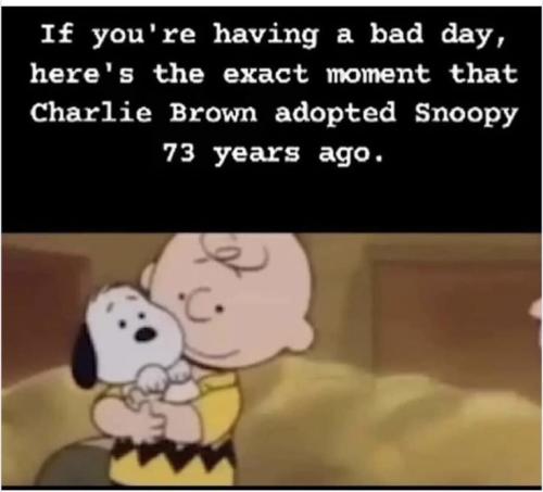 1c77d2328c9e2f30888fb48d17dfaa10