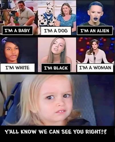 FB_IMG_1726540067751