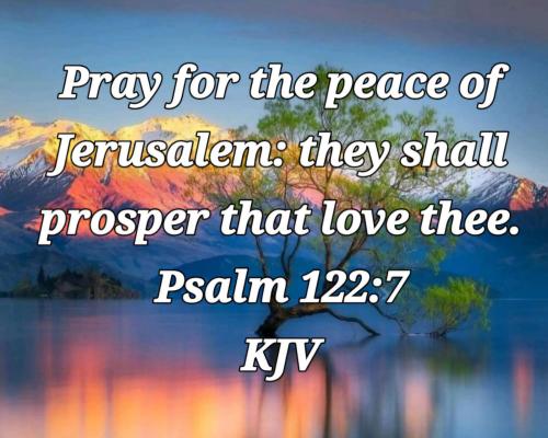 697f9771-51dc-4b3a-bf87-42fc200a7533