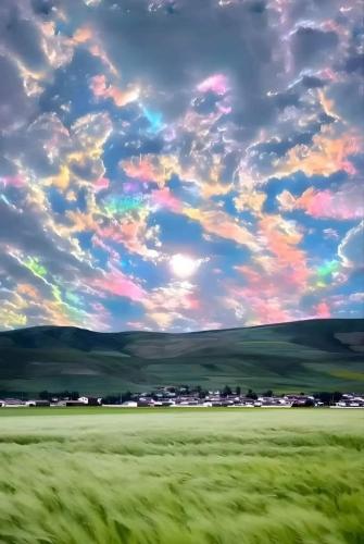 e27d8784-00d7-4393-b9c4-ad69ee05f55f