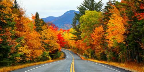 Fall leaves with highway