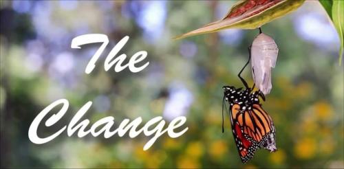 246ebd06-1ae6-4cd4-999e-6c32563c1d44