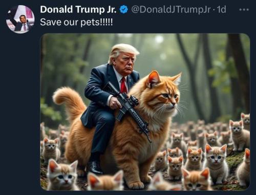 IMG_20240911_155529_334