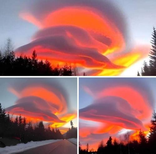 21ede763-305f-40d8-aa74-7582500699f8