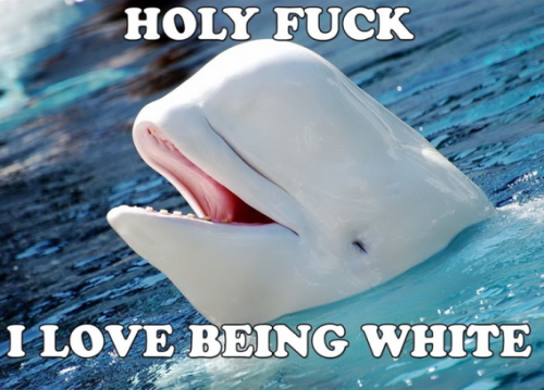 image_A2D23F6F-A745-4900-A8BF-562A812C0402