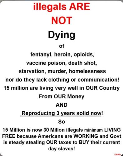 Illegals1