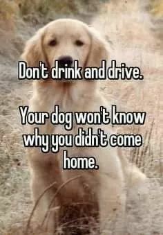 141783fe7f91d0fe6a75e2504fdf0193