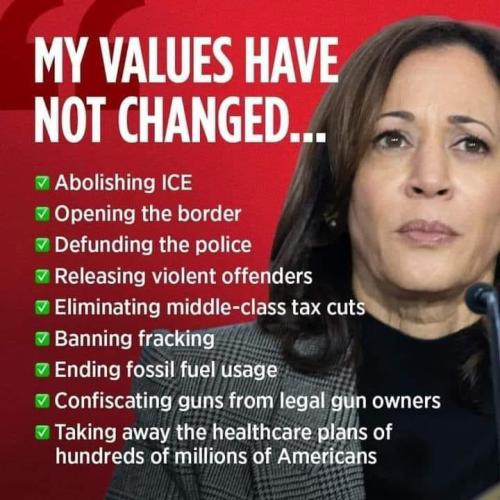 17C5B1C1-F595-4D7A-A1BA-009455EB287C