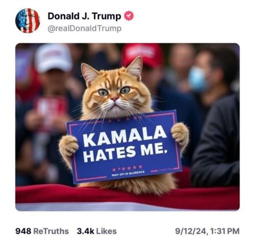 8798ddb4-287b-411f-9d68-e89a42e48314