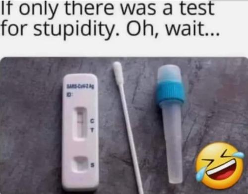 458387438_3675090289408438_3938789960793567302_n