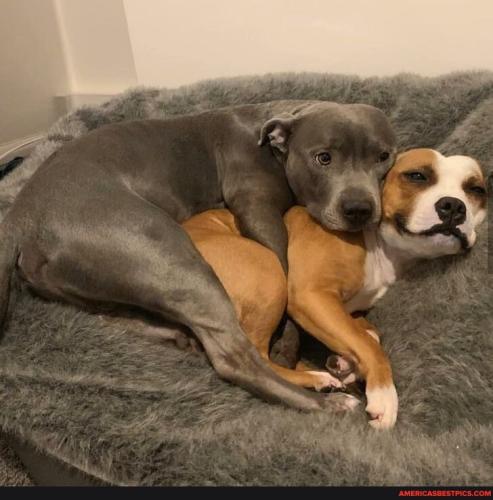 8cafdb6841746ea6963887e83ac489287bb027dd436057ac414bbce272508b67_1