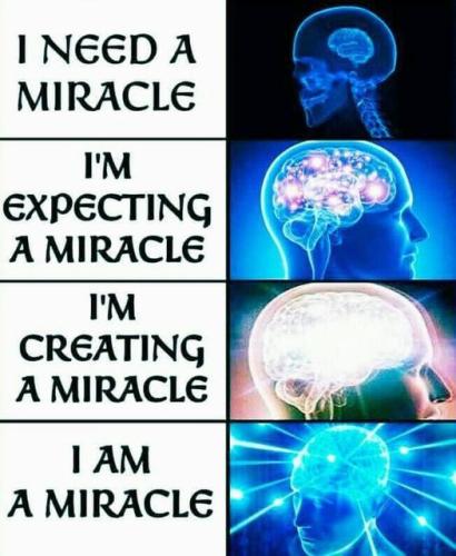 461581562_834568192166893_1734865237913902971_n