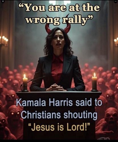 xephula_c5760d2157c788231cc5c303b93c7329