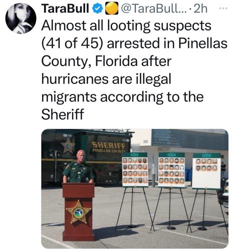 87074f39-1c41-4987-bcf3-f1d2b0b7805c