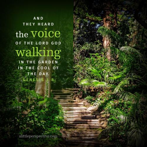 gen-3-8-KJV-unsplash-9x