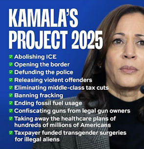 project 2025b