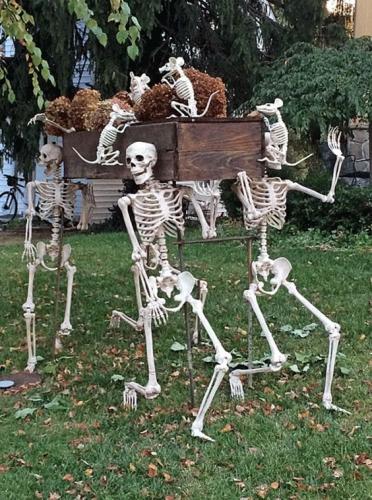 skeletons 9
