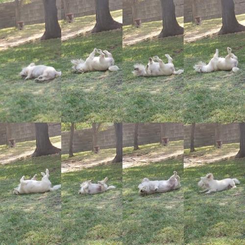 09:45:20 GMT-0500 (CDT)