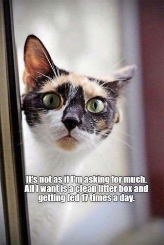 a3ff9d922e92990632f32befd7f78157