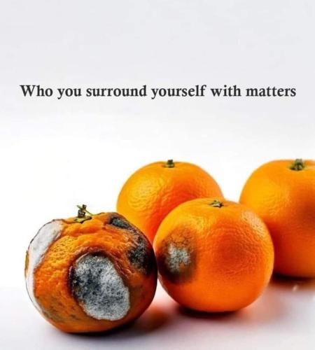 e9a7b2c2-c1df-4852-926b-79211db91143