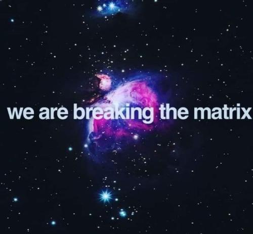 462917449_543798571869673_809766411666287339_n