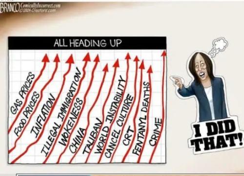 V7xvXAWr83o8wz5YwAAZ_12_c411e22dcaf72b329b34cf98ca410a15_cover_full