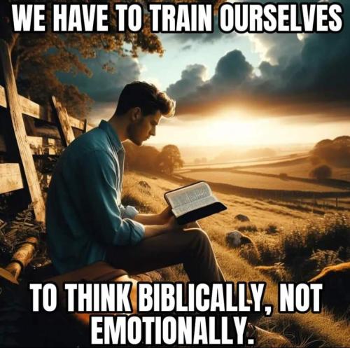 53e1b8f5-eeff-4d92-8fb8-68588324332d