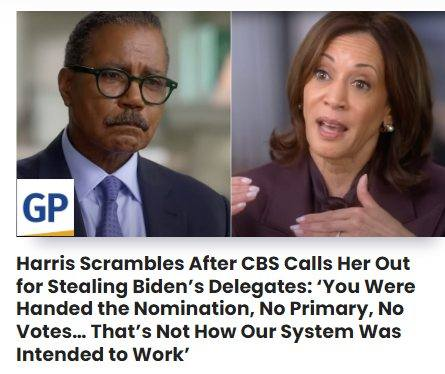 image_2024-10-09_063518949