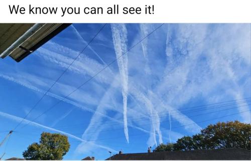 Screenshot_20241028_031731_Facebook