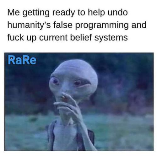 454617080_371585582650354_3500312944324637437_n