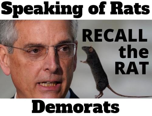 Speaking of Rats Raffensberger.960px