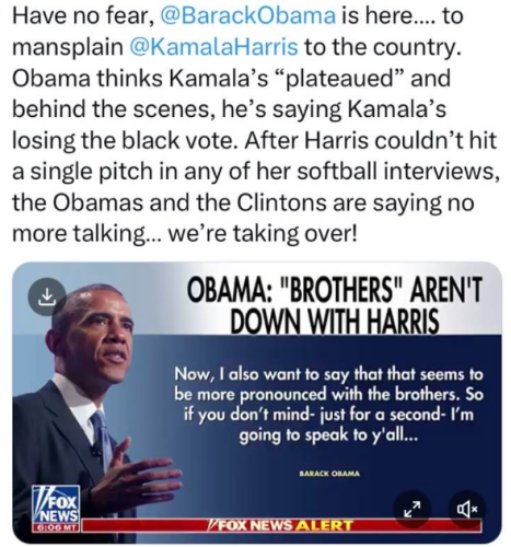 image_2024-10-11_062953022