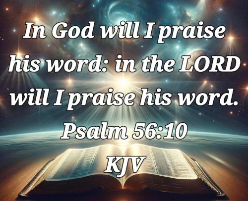 8822058b-a55a-40da-9259-b53c774f0801