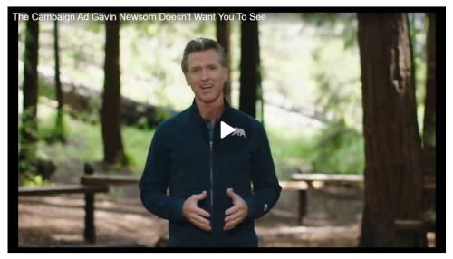 Gavin Newscum screenshot