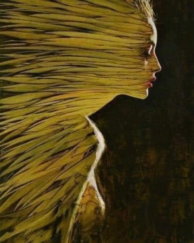 461870672_122140755488362039_3031558252228873340_n